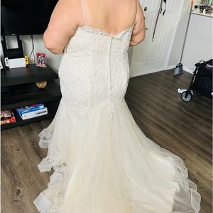 color cream size 26 plus size